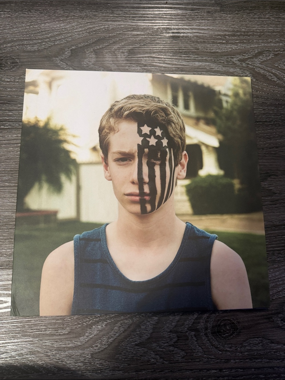 Fall Out Boy American Beauty/American Psycho Vinyl Record
